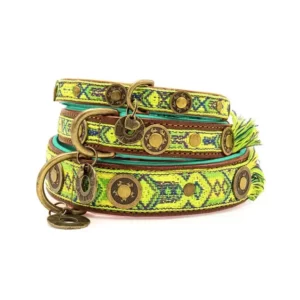 Diego Collar