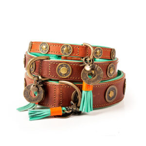 Jackson Collar