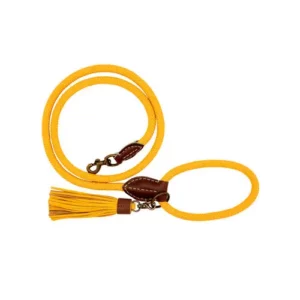 Bibi Leash