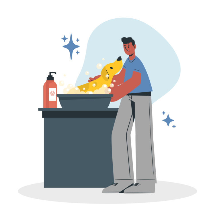 Clean Club Mobile Grooming